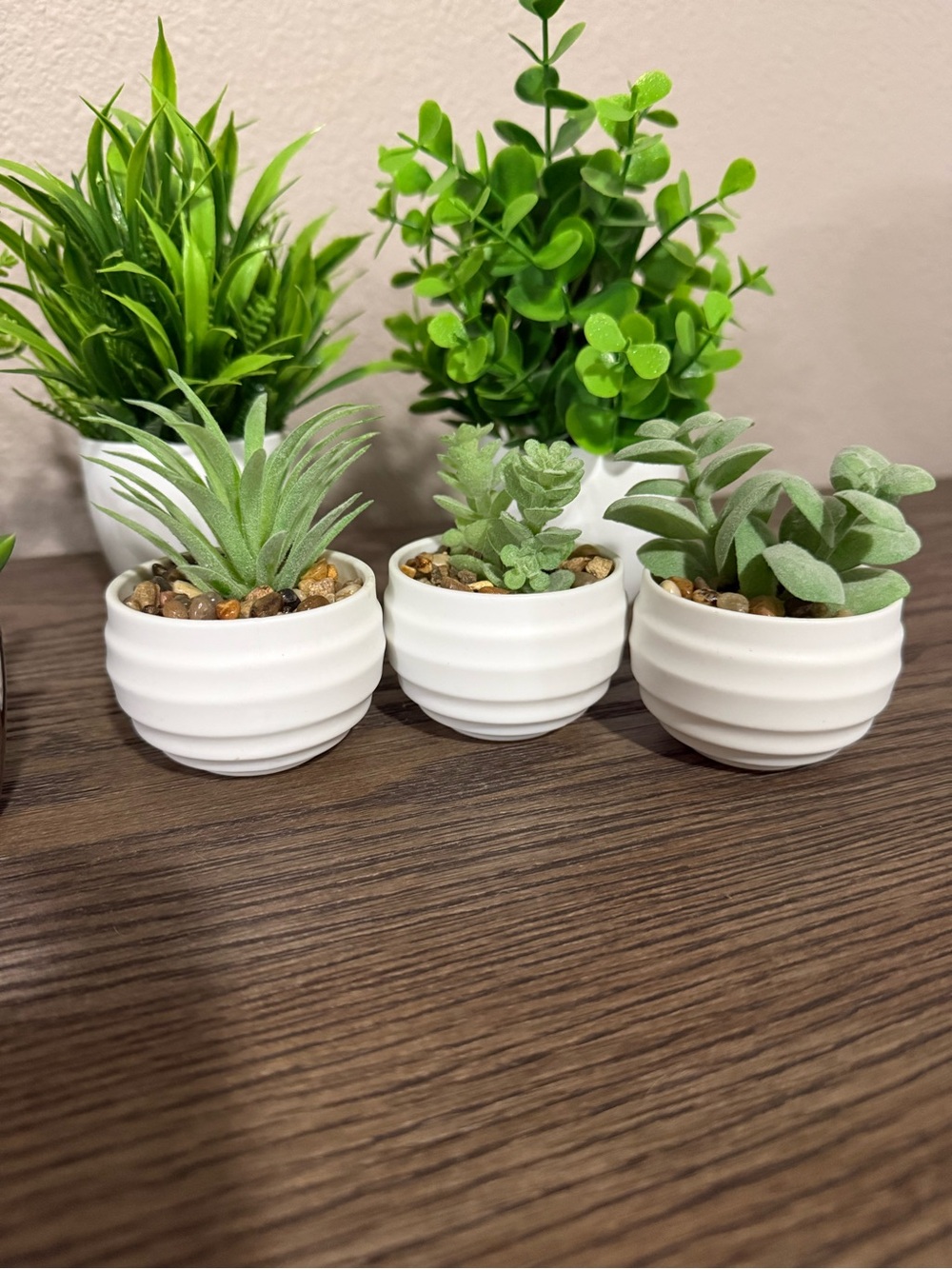 Assorted Green Faux Succulent Set in White and Brown Planters - Home Accents - Picture 2 of 4